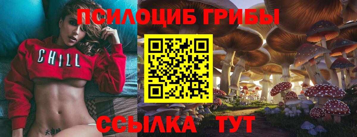 Галлюциногенные грибы Cubensis  Псилоцибиновые грибы прущие грибы  Вход с VPN  Нижневартовск 